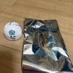 んぽちゃむ　キーホルダー