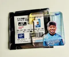 松山晋也選手　ドラゴンズ沖縄キャンプ限定　シークレットカラビナ