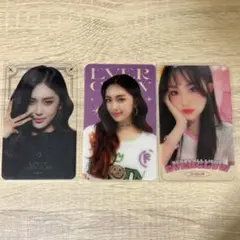 エバーグロー　アシャ　カード３枚