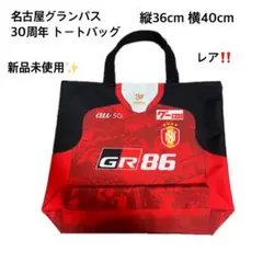 Item thumbnail for item b1d04547-3f39-475f-ac41-b96820133c79