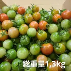 懐古トマト～赤い恋人～の緑の友達 ミニトマト - メルカリ