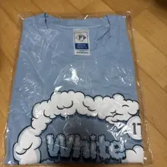 ファイターズ　伊藤大海　#17 オリジナルTシャツ　1枚