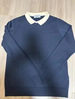 Item thumbnail for item 998e7f17-ad8c-4c37-ae68-36cec500a3e4