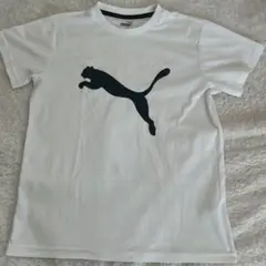 PUMA ホワイト Tシャツ
