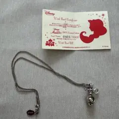 Item thumbnail for item 4995c6dd-4bde-445f-98a4-8690ea2399cb