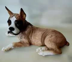 ボクサー犬　置物　樹脂製　イタリア製　インテリアのサムネイル