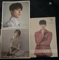 エントリーカード2枚(おまけ付き)SEVENTEENウォヌ