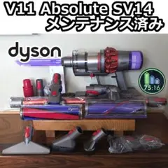 2026年最新】v11 absolute sv14 ablの人気アイテム - メルカリ