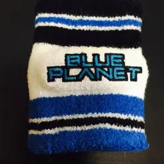 BP リストバンド