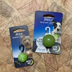 ままザウルス様 リクエスト 2点 まとめ商品