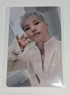 SEVENTEEN ホシ 消費期限 トレカ