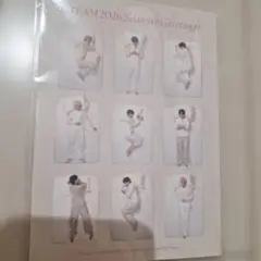 &team　シーグリポストカード　Nicholas