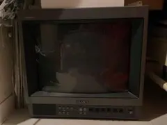 Item thumbnail for item 92c28fab-3e74-49c4-9b50-7310f0c523cc