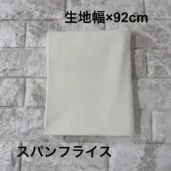 Item thumbnail for item 67cba4c5-3f98-4a83-83e3-e815aa688965