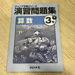2026年最新】ジュニア予習シリーズの人気アイテム - メルカリ