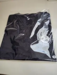 アルティーリ千葉　ファンクラブ限定Tシャツ（M）