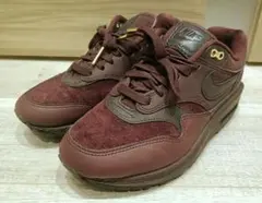 【美品】NIKE AIR MAX 1 87 NBHD 24cm