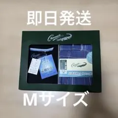 Item thumbnail for item 71865a69-5d01-4e30-8544-b35a3ef4c5f9