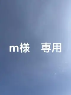m様　専用