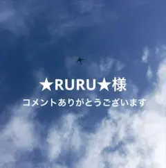 ★RURU★様　ご希望2点