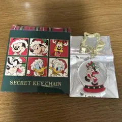 ディズニー シークレット