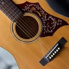 ★全音楽器ブランド・ロジェ・ハミングバードモデル F-170！ 超激鳴・超美品★のサムネイル