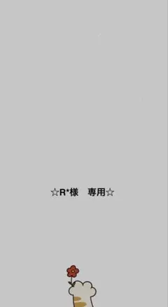 ☆R*様専用☆のサムネイル