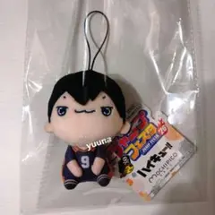 ジャンプフェスタ　ハイキュー　影山飛雄　もちぴこ　マスコット　　ぬいぐるみ