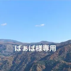 ばぁば様 リクエスト 2点 まとめ商品