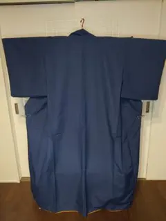 美品　洗える着物　色無地　胴抜き