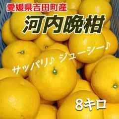 河内晩柑