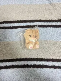 mikko ラテ　ぬいぐるみマスコット　ガチャガチャ