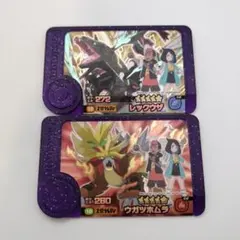 ポケモンフレンダ　レックウザ　ウガツホムラ