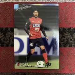 カルビー 2013 鹿島アントラーズ 柴崎岳 カード