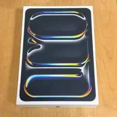 Apple M4 iPad Pro 11インチ スペースブラック256GB