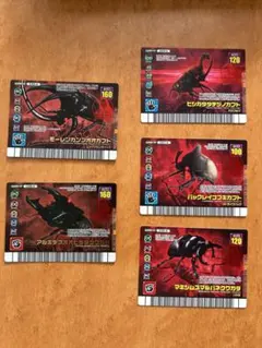 アダーコレクション