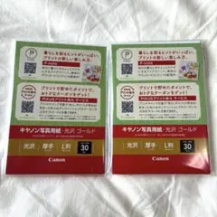 Canon 写真用紙 光沢 ゴールド L判 30枚入 2個セット