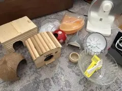 Item thumbnail for item 1efbf143-01e4-4f27-b159-3760f3e8867e