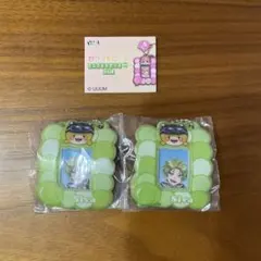 カラフルピーチ　ミニフォトケース　シヴァ ２個セット