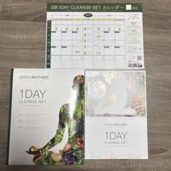 GREEN BROTHERS 1DAY CLEANSE SETのサムネイル