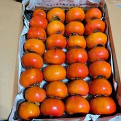 富有柿 29個　甘い柿　食べ頃　ご自宅用