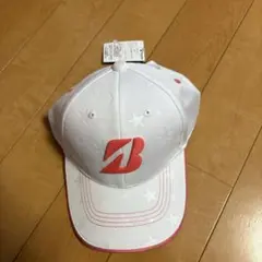 Item thumbnail for item 591a0690-3105-450c-bd63-1c8ab322ac60