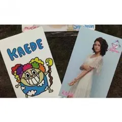 楓 グッズ2点セット