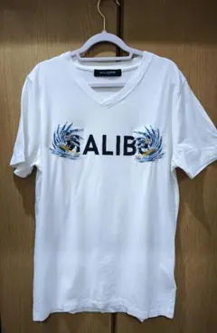 ナノユニバース 刺繍Ｔシャツ