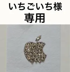 いちごいち様♡専用ページ