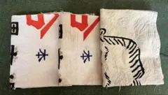 Item thumbnail for item e2b95b62-c912-4405-99dc-02c5aff1c76e