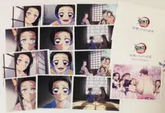 鬼滅の刃 胡蝶しのぶ 胡蝶カナエ 胡蝶姉妹 追憶ブロマイドセット 無限城編