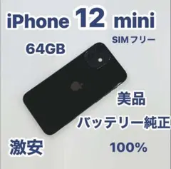 iPhone 12 mini 64GB SIMフリー 美品