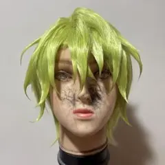 あんさんぶるスターズ あんスタ 巴日和 コスプレ ウィッグ