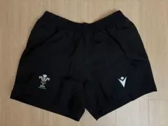 【新品未使用】Macronラグビー　ウェールズ代表　ウォームアップパンツ　L カンタベリー（Canterbury） メンズ ラグビー ウォームアップパンツ